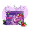 Fiama Blackcurrant & Bearberry Gel Bar, 125g